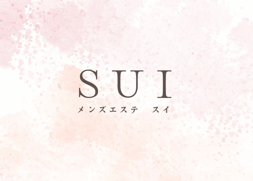 SUI 北千住 綾瀬ルーム