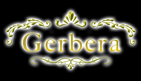 Gerbera（ガーベラ）