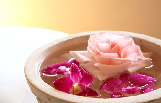 リラックスガーデン