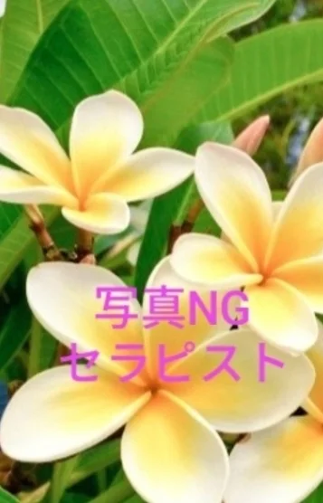 リラクゼーションサロン プルメリア