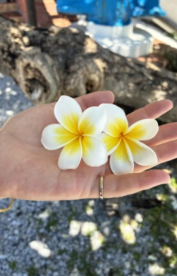 瑠璃色出張エステ鹿児島・指宿